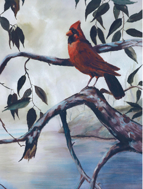 The Beautiful Red Cardinal
 - Artwork