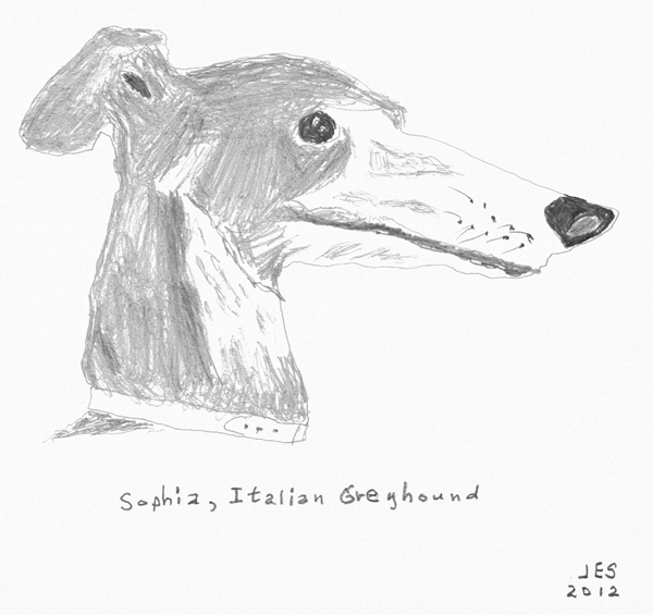 Sophia, Italia Greyhound
 - Artwork