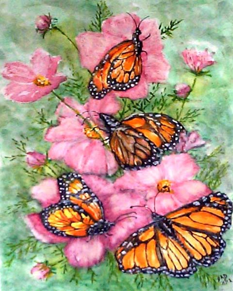 Butterflies - Artwork