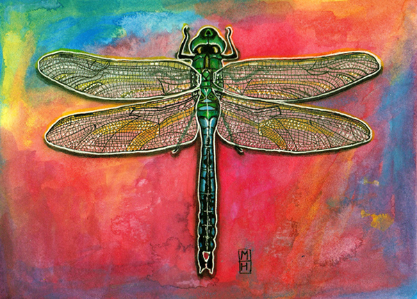 Dragonfly - Artwork