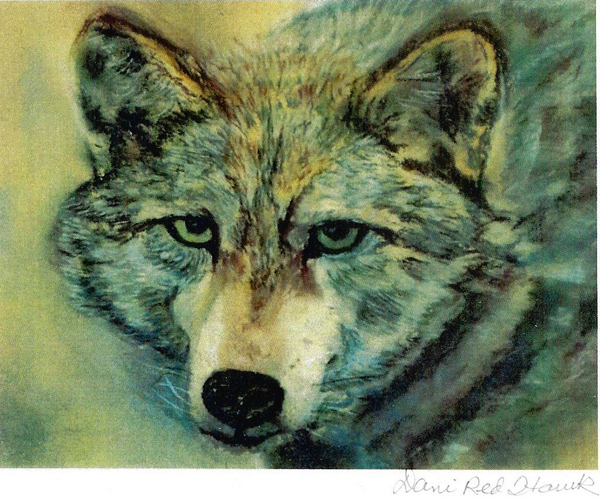 Wolf - Artwork