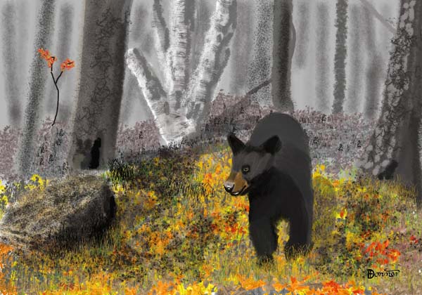 Fall Bear Looking for  a Den
 - Artwork