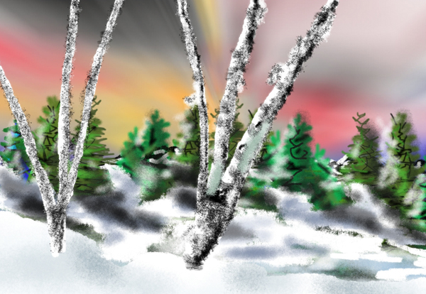 Winter Birches in the Snow
 - Artwork
