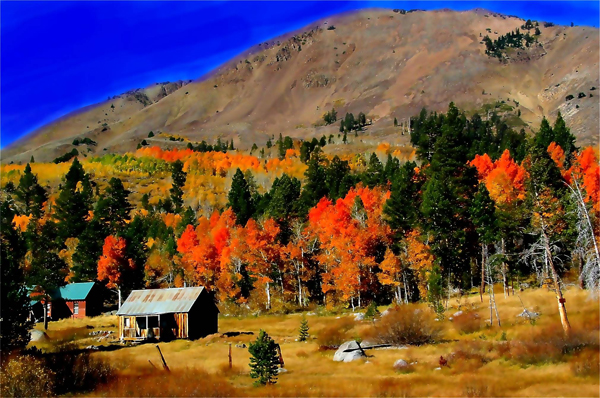 The Beautiful High Sierra's in the Fall
 - Artwork