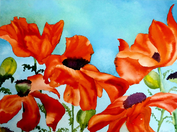 Poppy Dance  (watercolor reflecting spring) 
 - Artwork