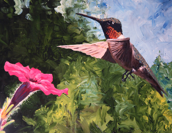 Male Hummingbird and Flower
 - Artwork