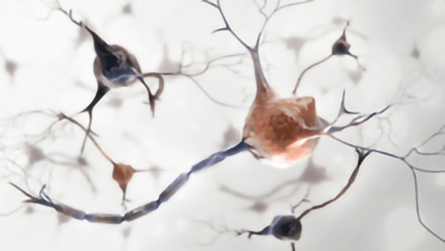 3D rendering of nerve cell