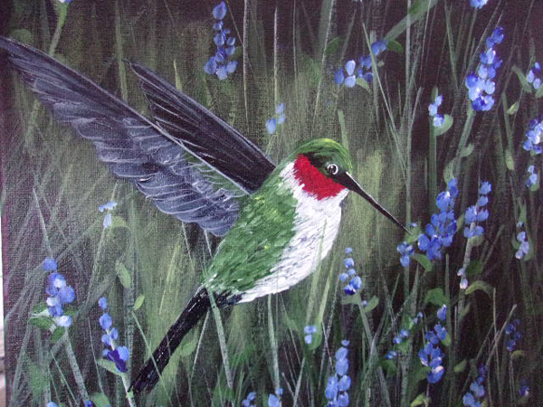 Hummingbird Splendor