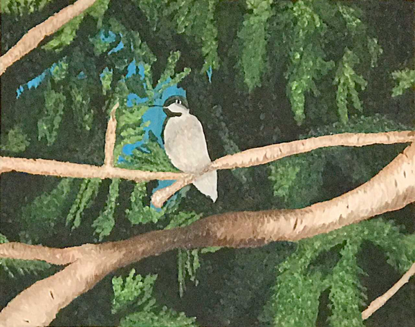 Hummingbird Perch