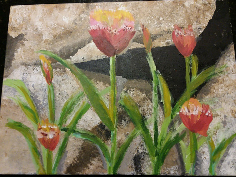 Tulips for Savannah