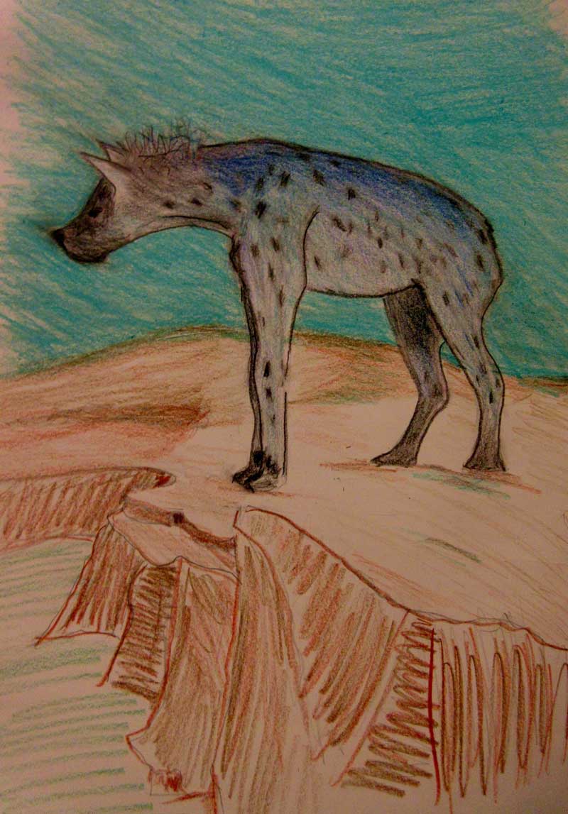 Blue Spotted Hyena