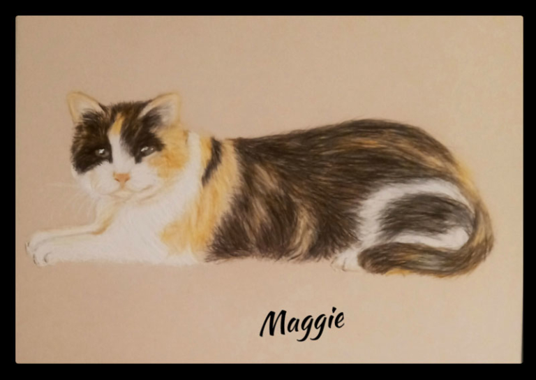 Maggie Rourke Elaine O’Rourke | MSAA