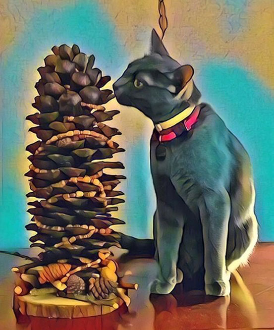 Pine Cone with Cat