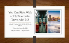 Successful Travel with MS webinar