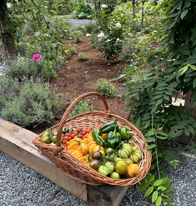 Basket of Green Living