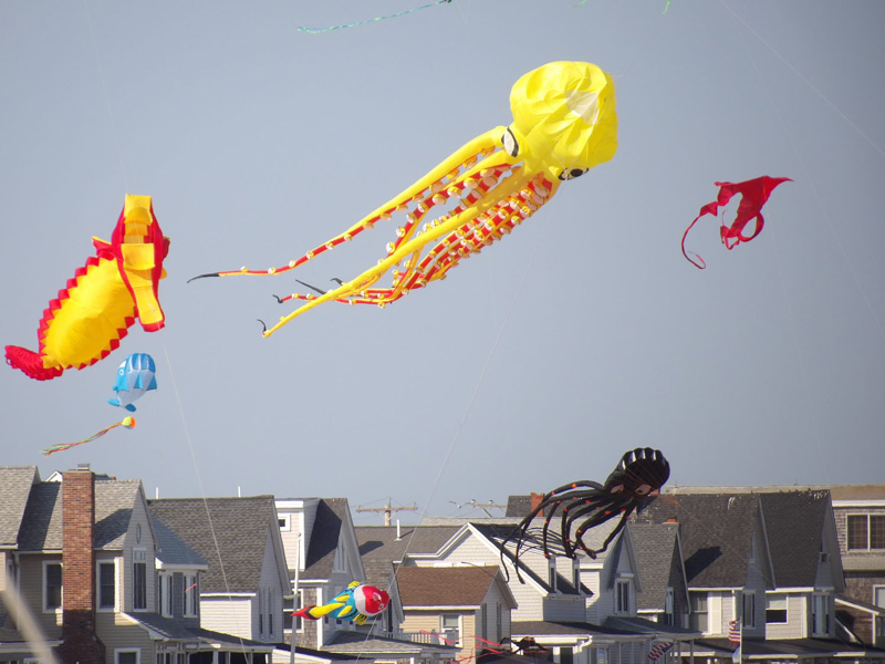 Beach Kites