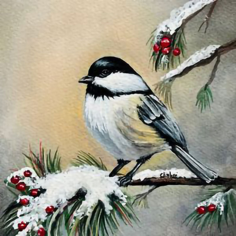 Chickadee in Winter