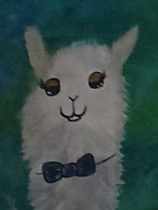 Mr. Llama