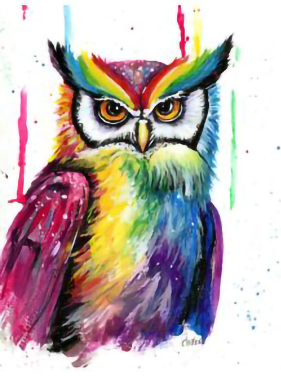 Pride Owl