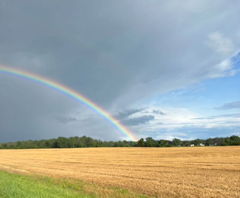 Pot of Gold