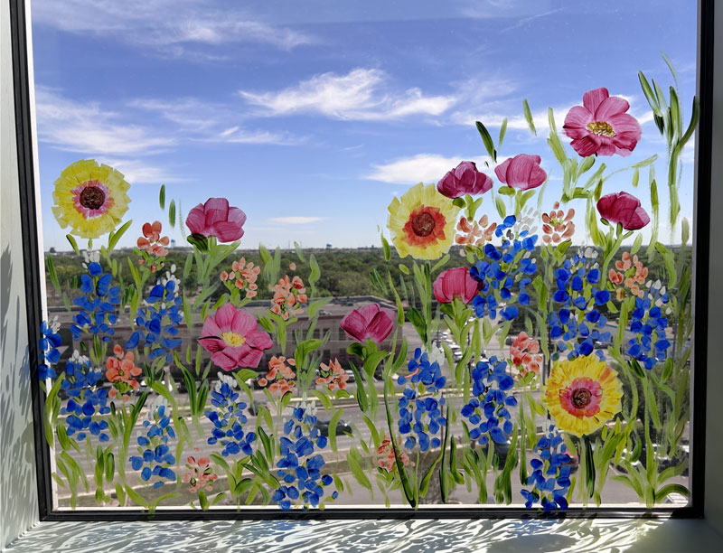 Texas Wildflowers