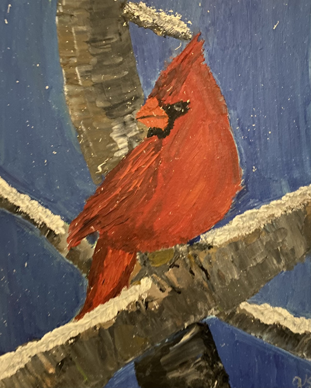 Winter Cardinal