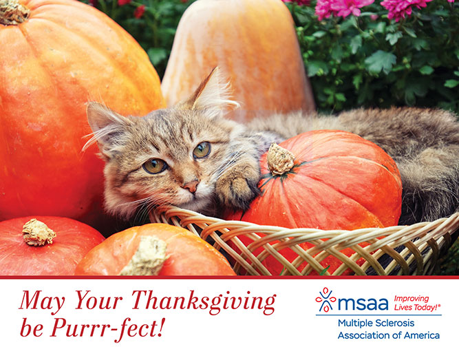 2025 Thanksgiving Design D