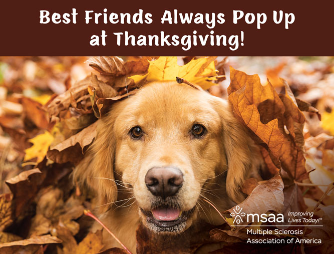 2025 Thanksgiving Design F