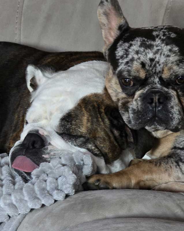 Untitled Untitled by Jennifer Dougherty