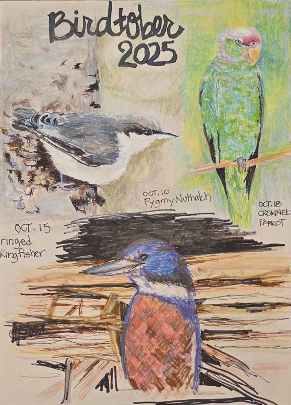 Birdtober by AnnaMarie Prono