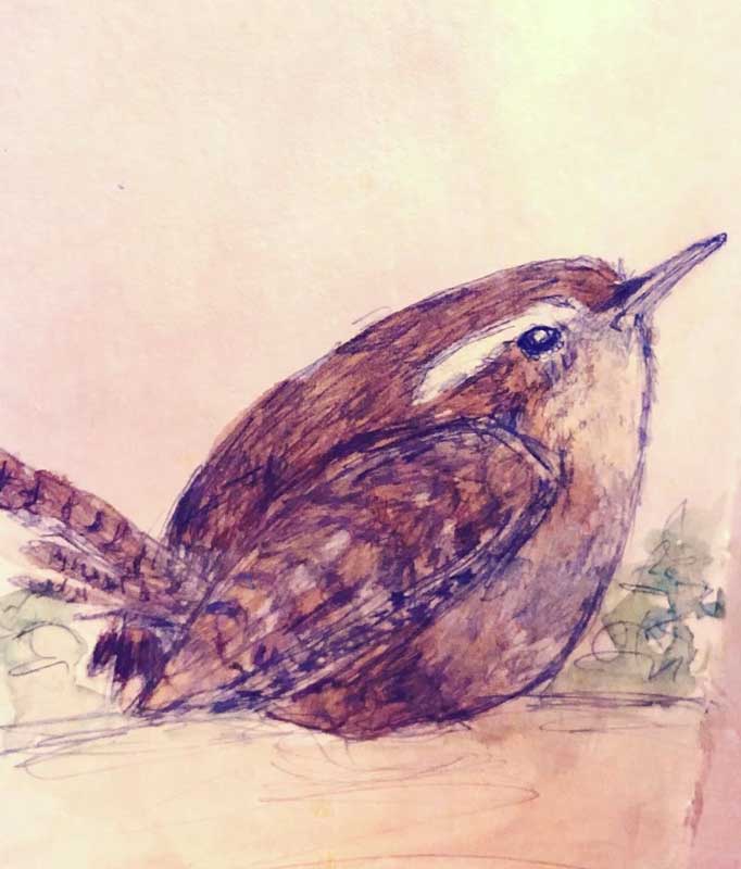 Little Wren Little Wren by Greta Stratman