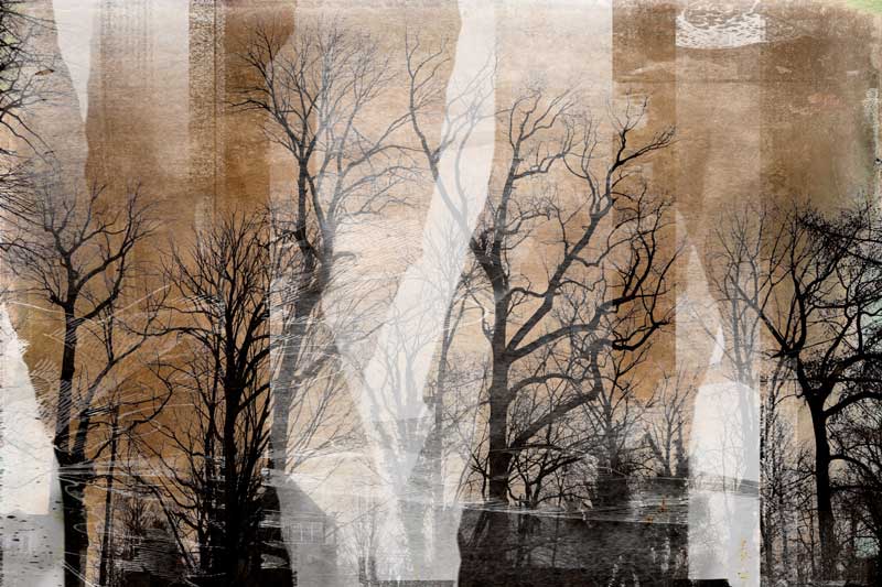 Naylor’s Run Park by Rona Golfen