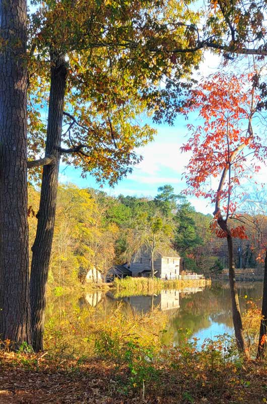 The Mill House by Mayteé Ramos