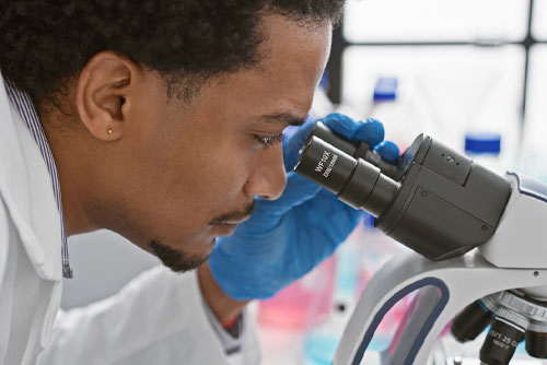 MS Overview - How MS Affects the Immune System